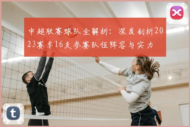 中超联赛球队全解析：深度剖析2023赛季16支参赛队伍阵容与实力