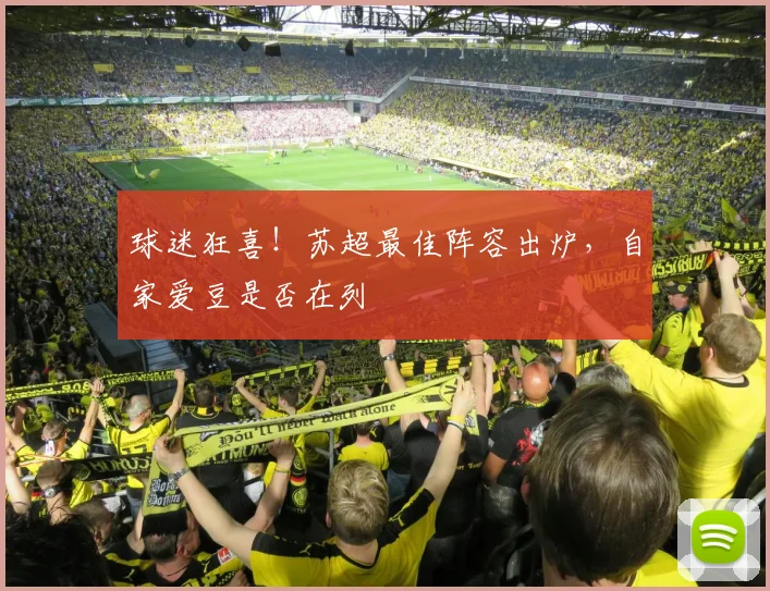 球迷狂喜！苏超最佳阵容出炉，自家爱豆是否在列