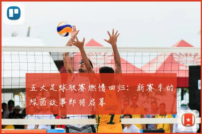 五大足球联赛燃情回归：新赛季的绿茵故事即将启幕